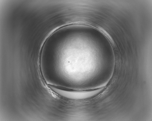 X0000076330956200609291117