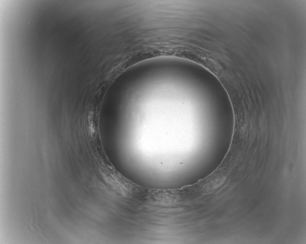 X0000076330962200609291116