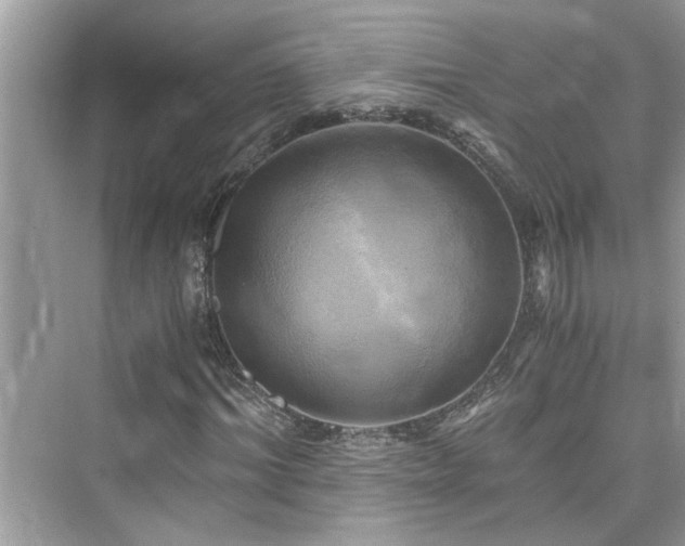 X0000076330964200609291116