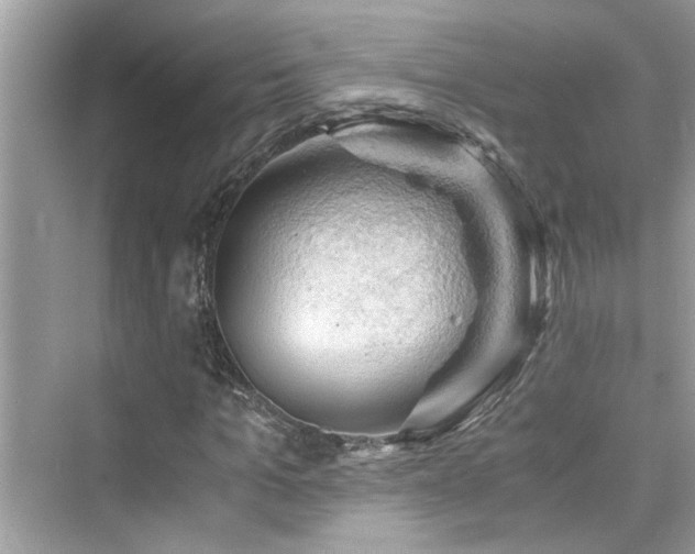 X0000076330965200609291116