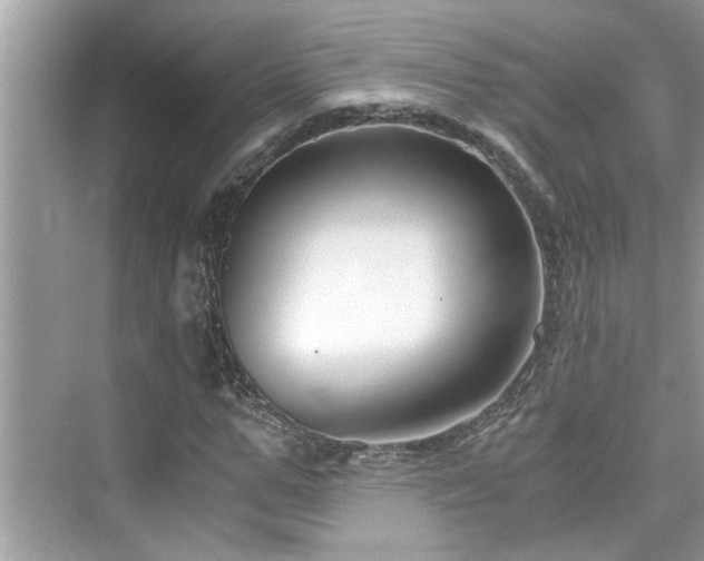X0000076330967200609291116