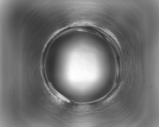 X0000076330989200609291115