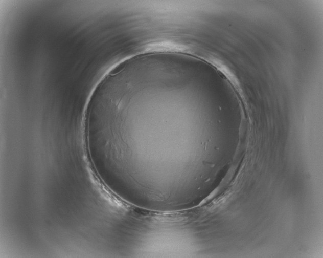 X0000076331008200609291115