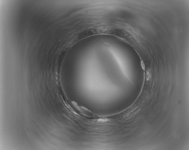 X0000076331011200609291114