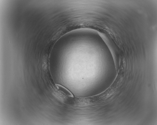 X0000076331012200609291114