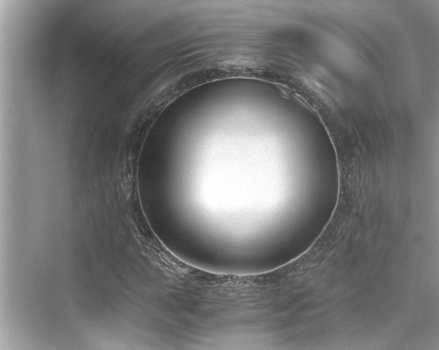 X0000076331015200609291114