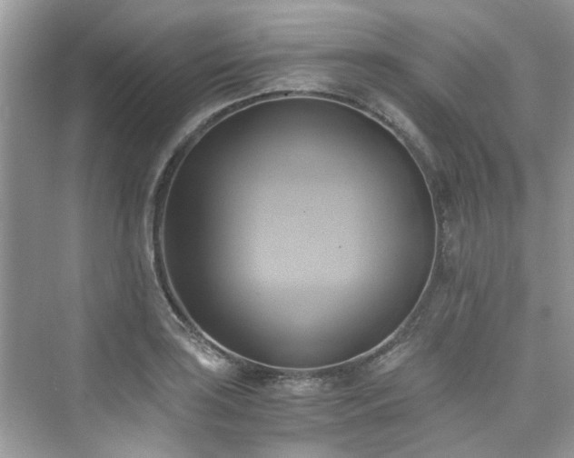 X0000076331035200609291115