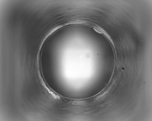 X0000076331053200609291115