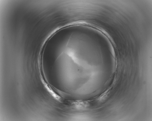 X0000076331054200609291115