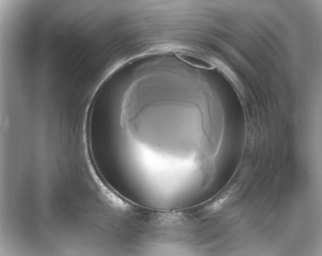 X0000076331055200609291115