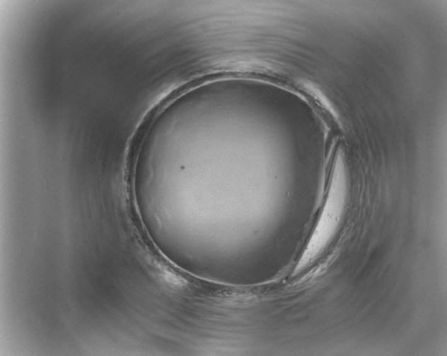 X0000076331071200609291114