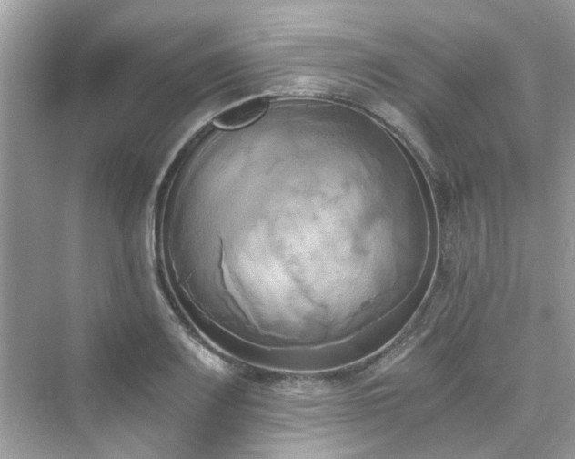 X0000076331083200609291114