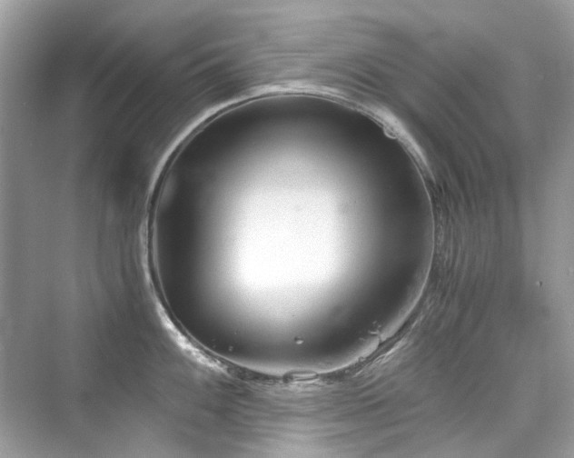 X0000076331100200609291113