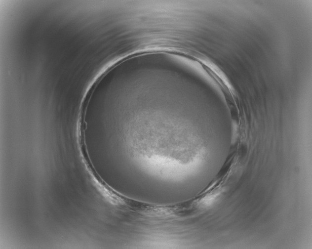 X0000076331101200609291113