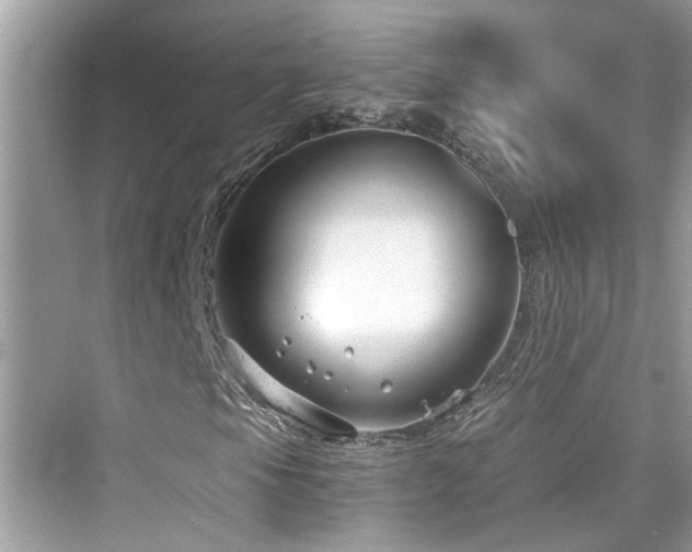 X0000076331105200609291113