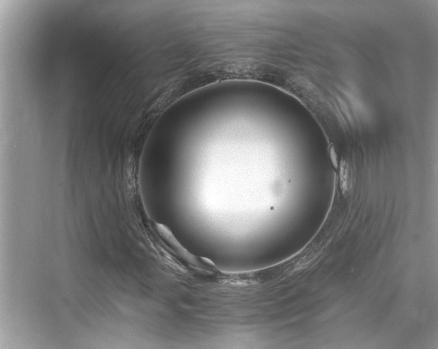 X0000076331107200609291113