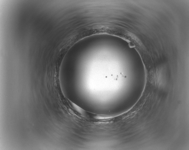 X0000076331111200609291113