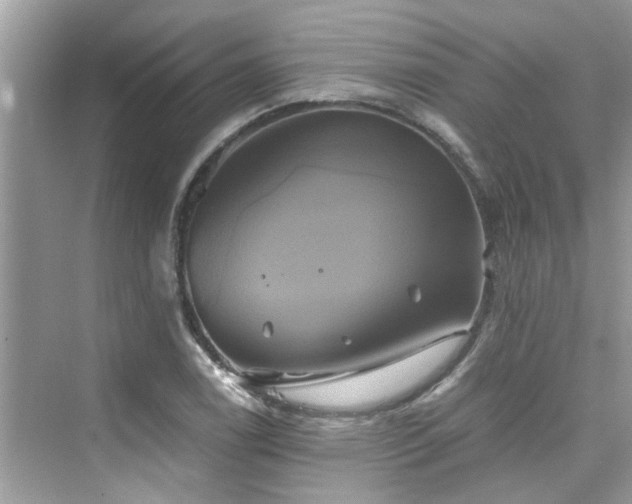 X0000076331122200609291113