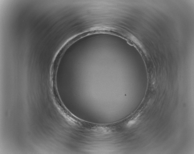 X0000076331124200609291113