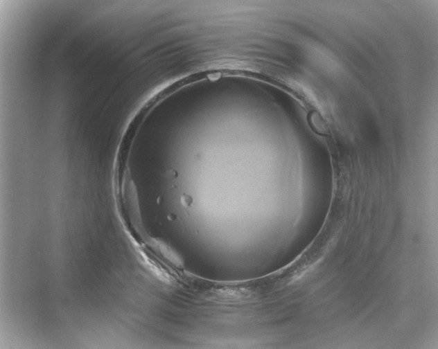 X0000076331125200609291113