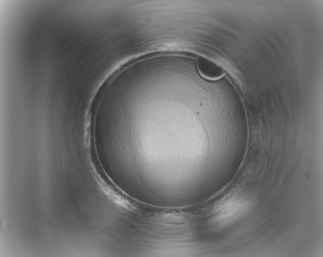 X0000076331126200609291113