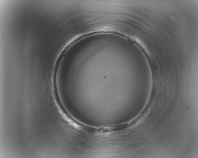 X0000076331134200609291113