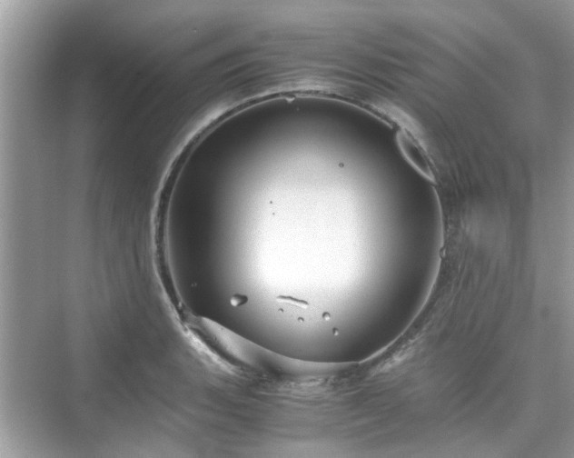 X0000076331135200609291113