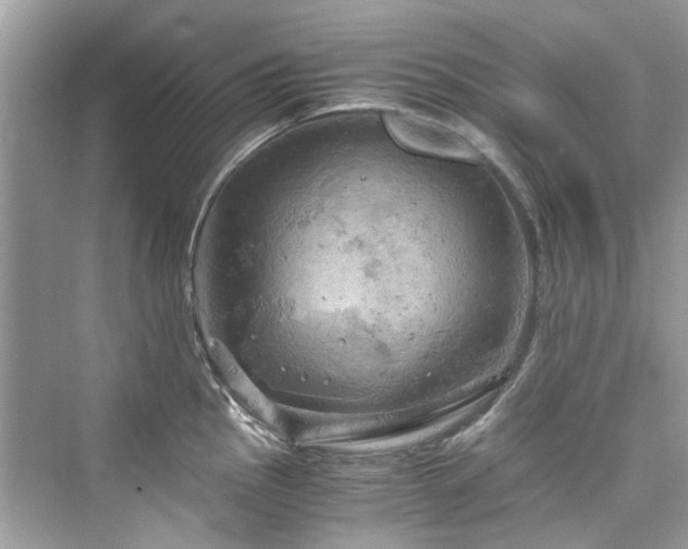 X0000076331145200609291113