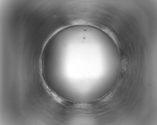 X0000076331150200609291113