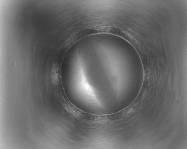 X0000076331154200609291113