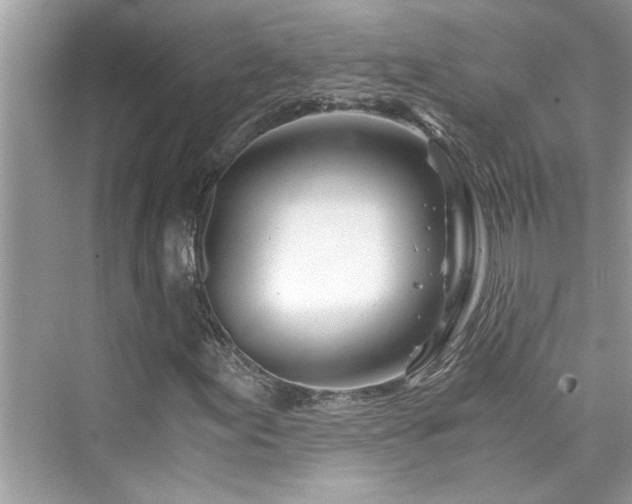 X0000076331155200609291113