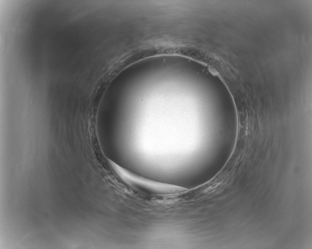 X0000076331157200609291113