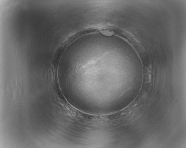 X0000076331158200609291113