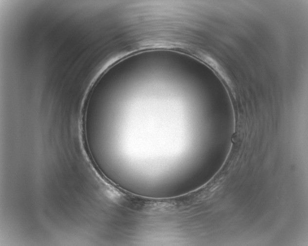 X0000076331187200609291112