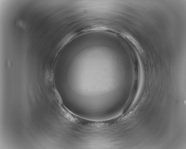 X0000076331193200609291112
