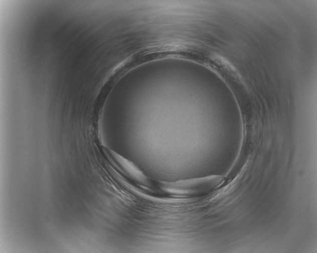 X0000076331210200609291111