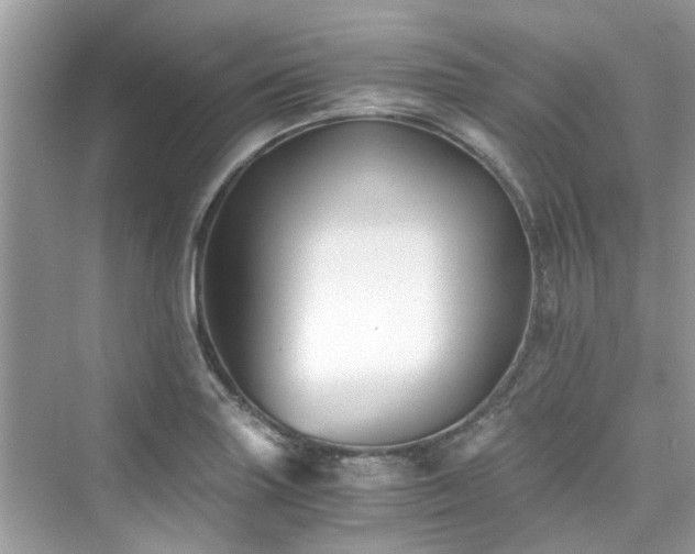 X0000076331227200609291111