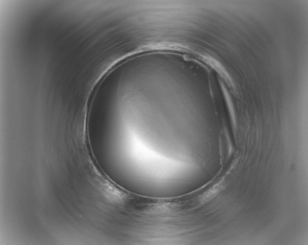 X0000076331228200609291111