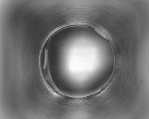 X0000076331246200609291112
