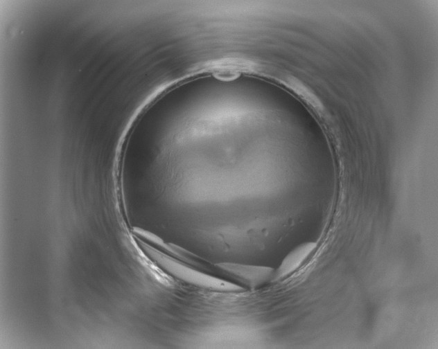 X0000076331248200609291112