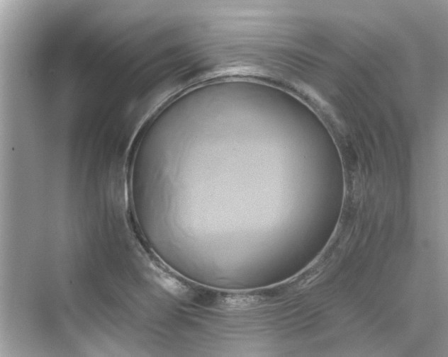 X0000076331274200609291111