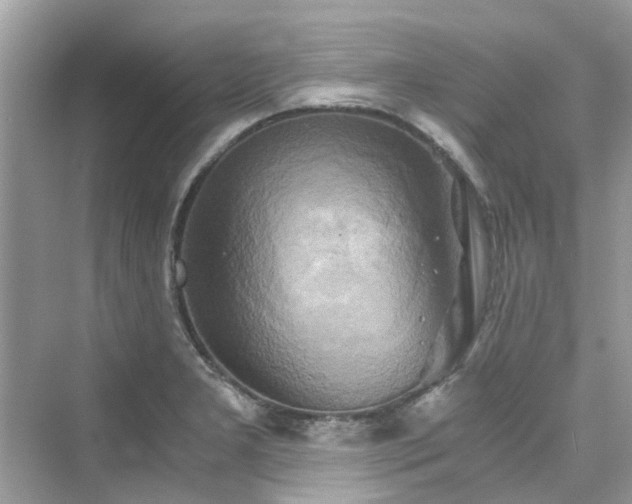 X0000076331277200609291110