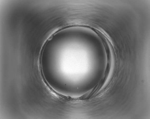 X0000076331293200609291110