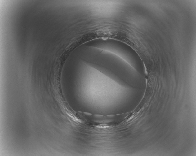 X0000076331297200609291109