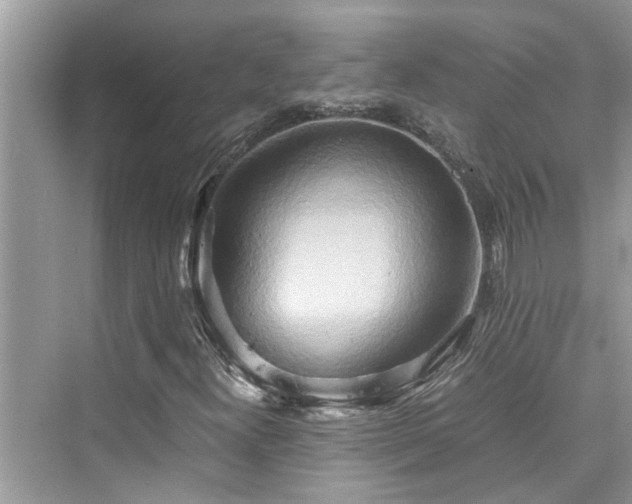 X0000076331300200609291109