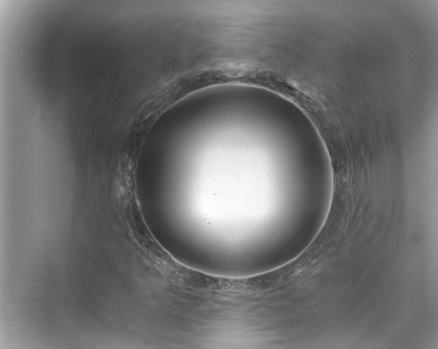 X0000076331349200609291109