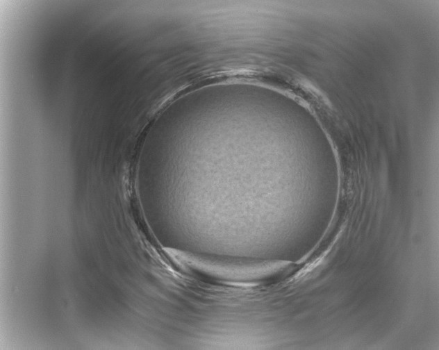 X0000076331353200609291109