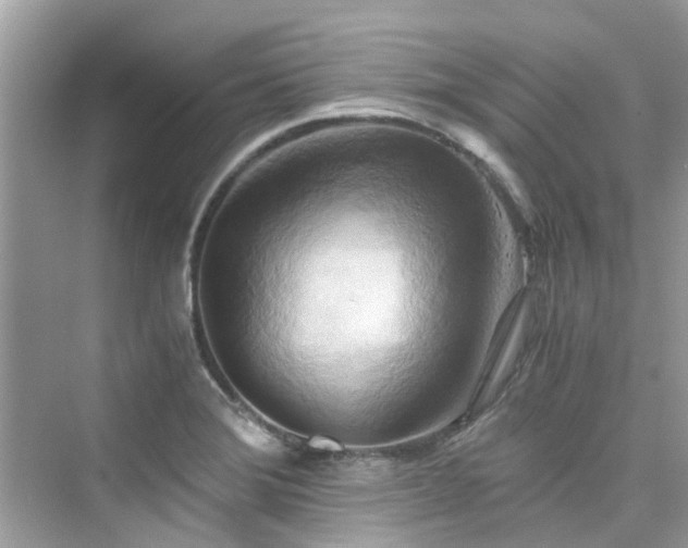 X0000076331372200609291109