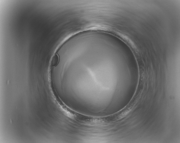 X0000076331375200609291109