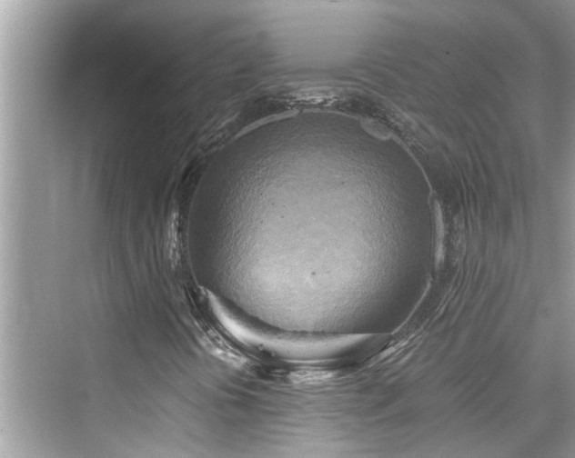 X0000076331394200609291108